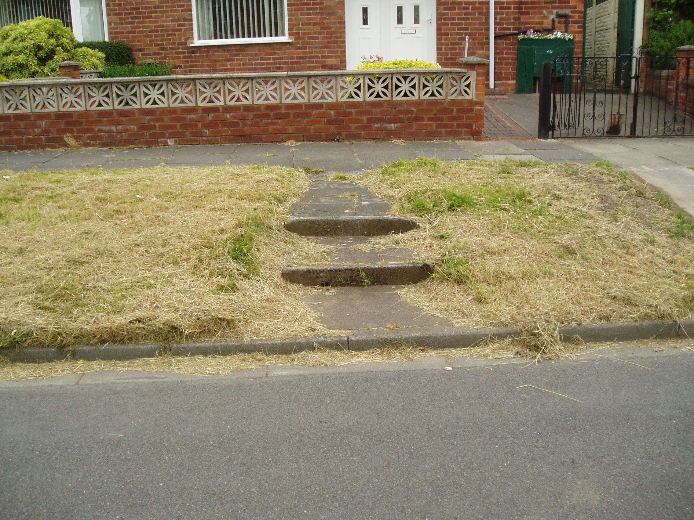 Attached picture GRASS 9.JPG